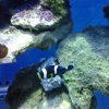 2011-08-17 18.06.40-1.jpg