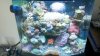 2011-08-23_12-51-13_936.jpg