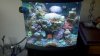 2011-08-23_12-47-13_164.jpg