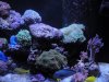 DSC01911.JPG