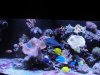 DSC01910.JPG