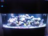 DSC01914.JPG