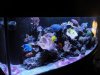 DSC01916.JPG