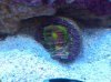 2011-10-21_19-37-26_314.jpg