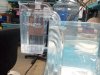 2012-02-09 06.18.29.jpg