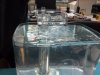 2012-02-09 06.17.58.jpg