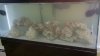 2011-10-04_08-07-10_412.jpg