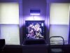 2012-03-22 18.21.39.jpg