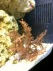 reef1004.jpg