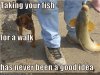 fishwalk.jpg