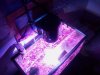 2012-06-12 20.31.48.jpg