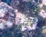 2012-06-14 19.07.45 (300x226).jpg