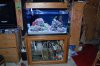 DSC_0003.jpg
