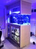 Tank with Trim - 6-Jul-2012.jpg