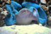 DSC_0031.jpg
