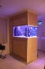 RoyzAquarium_August_18_2012.jpg
