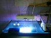 WP_001667.jpg