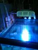 WP_001669.jpg