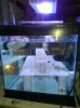 WP_001670.jpg