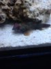 ImageUploadedByTapatalk HD1346201278.221563.jpg