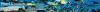 Reef Exotics.gif