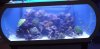 DSCF0436.JPG