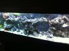 FTS.jpg