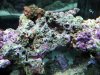 75G 6.jpg