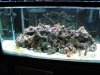 75G 1.jpg