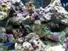 75G 2.jpg