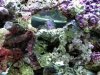75G 3.jpg