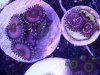 20130712_165214.jpg