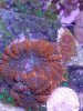 20130712_161948.jpg