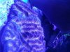 20130717_201318.jpg