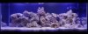 Tank 005 (640x249) (500x195).jpg