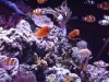 DSCF1116.JPG
