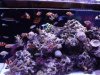 DSCF1117.JPG