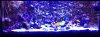 ImageUploadedByTapatalk1389982345.490414.jpg