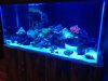 my tank.jpg