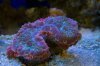IMG_8156.jpg