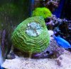 DSCF4815-1.jpg