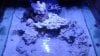 20150214_082230.jpg