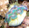 DSC06588.JPG