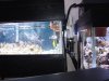 30g plumbing.jpg