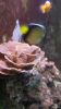 20150410_180920.png