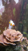 20150410_180923.png