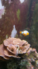 20150410_180924.png