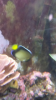 20150410_180929.png