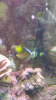 20150410_180939.png