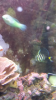 20150410_180940.png